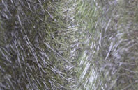 Llanfaethlu fibreglass roof work